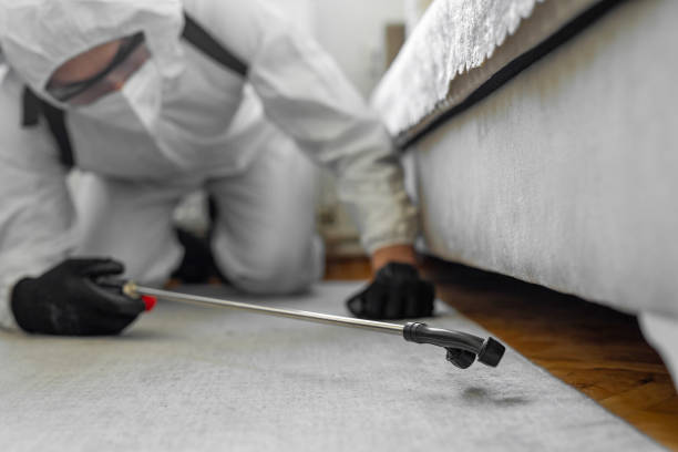 Professional Bed Bug Control technician working in Victoria, TX
